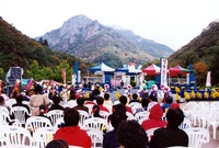 제7회 백양단풍축제