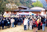 제7회 백양단풍축제