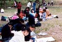 제7회 백양단풍축제