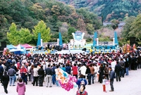 제7회 백양단풍축제