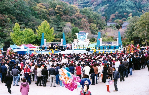 제7회 백양단풍축제