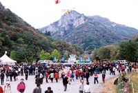 제7회 백양단풍축제