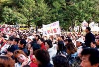 제7회 백양단풍축제