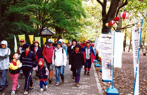 제7회 백양단풍축제