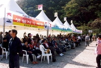 제7회 백양단풍축제