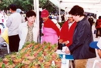 제7회 백양단풍축제