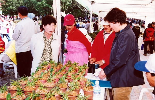 제7회 백양단풍축제