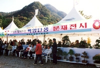 제7회 백양단풍축제