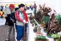 제7회 백양단풍축제