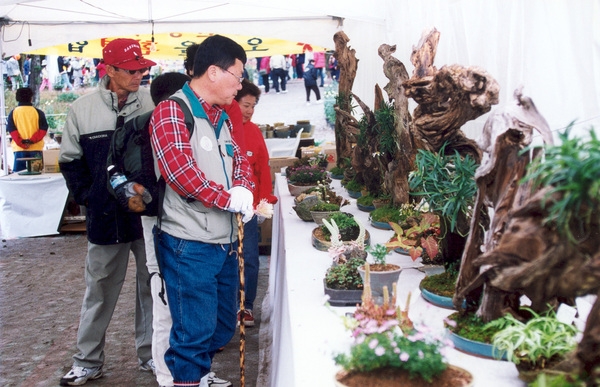제7회 백양단풍축제