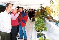 제7회 백양단풍축제