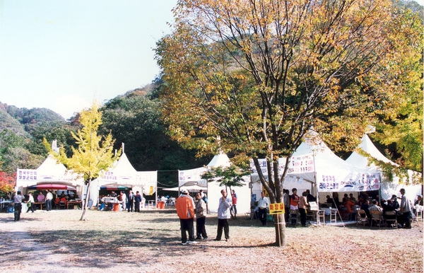 제7회 백양단풍축제