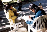 제7회 백양단풍축제