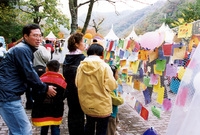 제7회 백양단풍축제