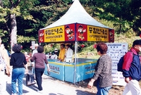 제7회 백양단풍축제