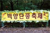 제7회 백양단풍축제