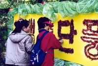 제7회 백양단풍축제