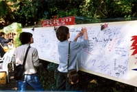 제7회 백양단풍축제