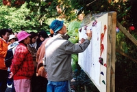 제7회 백양단풍축제
