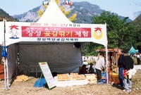 제7회 백양단풍축제