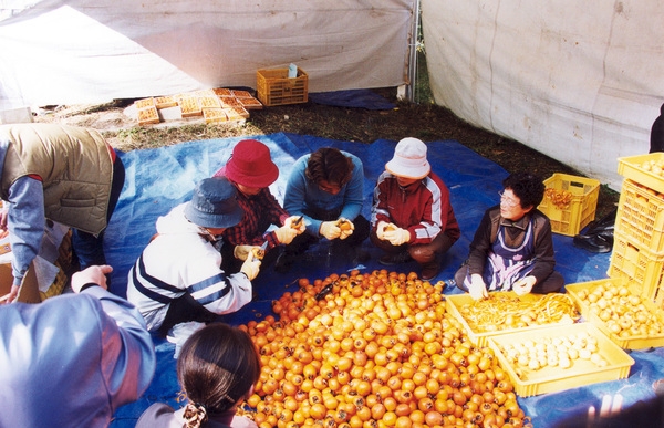 제7회 백양단풍축제