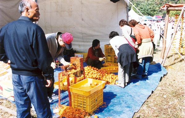 제7회 백양단풍축제