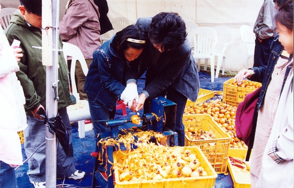 제7회 백양단풍축제