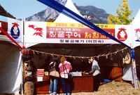 제7회 백양단풍축제