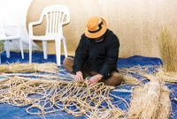 제7회 백양단풍축제