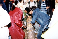 제7회 백양단풍축제