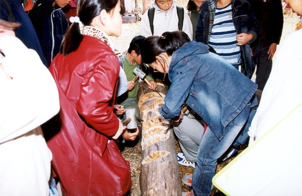 제7회 백양단풍축제
