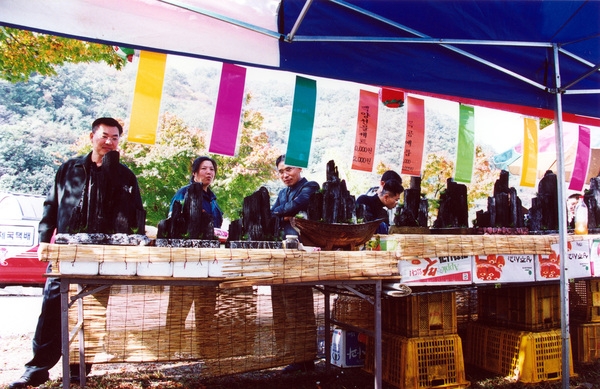제7회 백양단풍축제