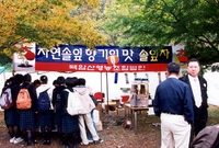 제7회 백양단풍축제