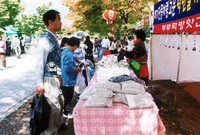 제7회 백양단풍축제