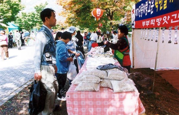 제7회 백양단풍축제