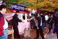 제7회 백양단풍축제