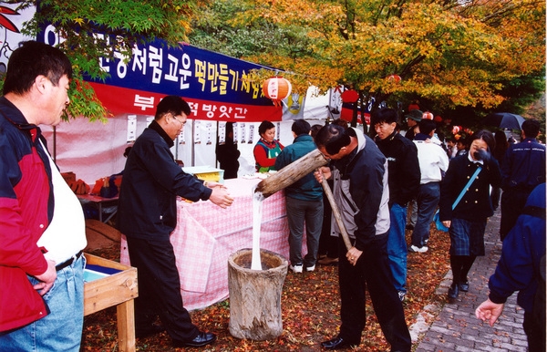 제7회 백양단풍축제