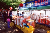 제7회백양단풍축제