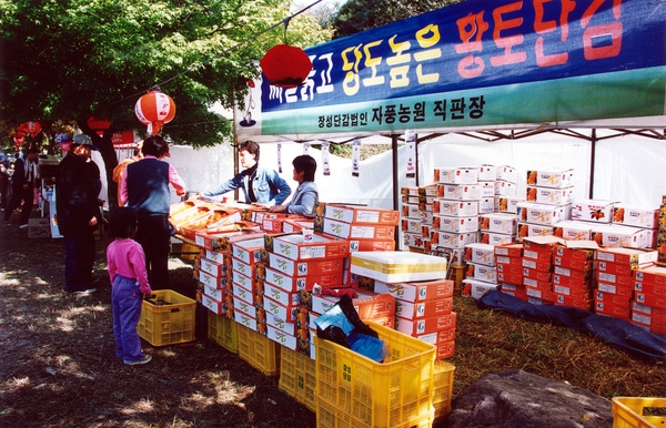 제7회백양단풍축제
