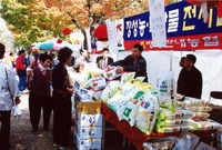 제7회백양단풍축제