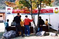 제7회백양단풍축제