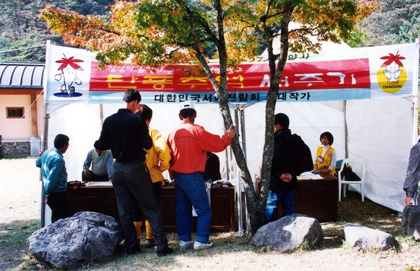 제7회백양단풍축제