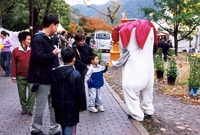 제7회백양단풍축제