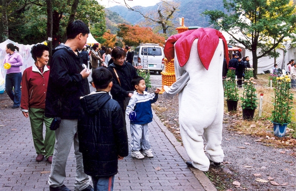 제7회백양단풍축제