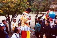 제7회백양단풍축제
