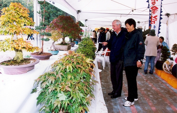 제7회백양단풍축제