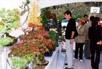 제7회백양단풍축제