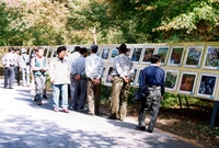 제7회백양단풍축제