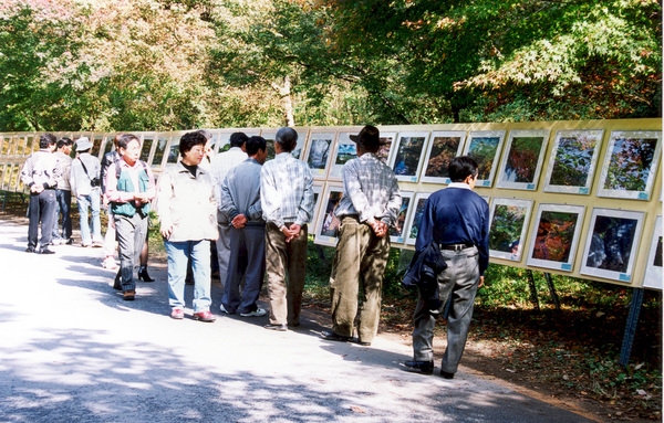 제7회백양단풍축제