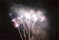 제7회백양단풍축제